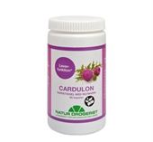Candulon 500 mg. 90 Kapsler 